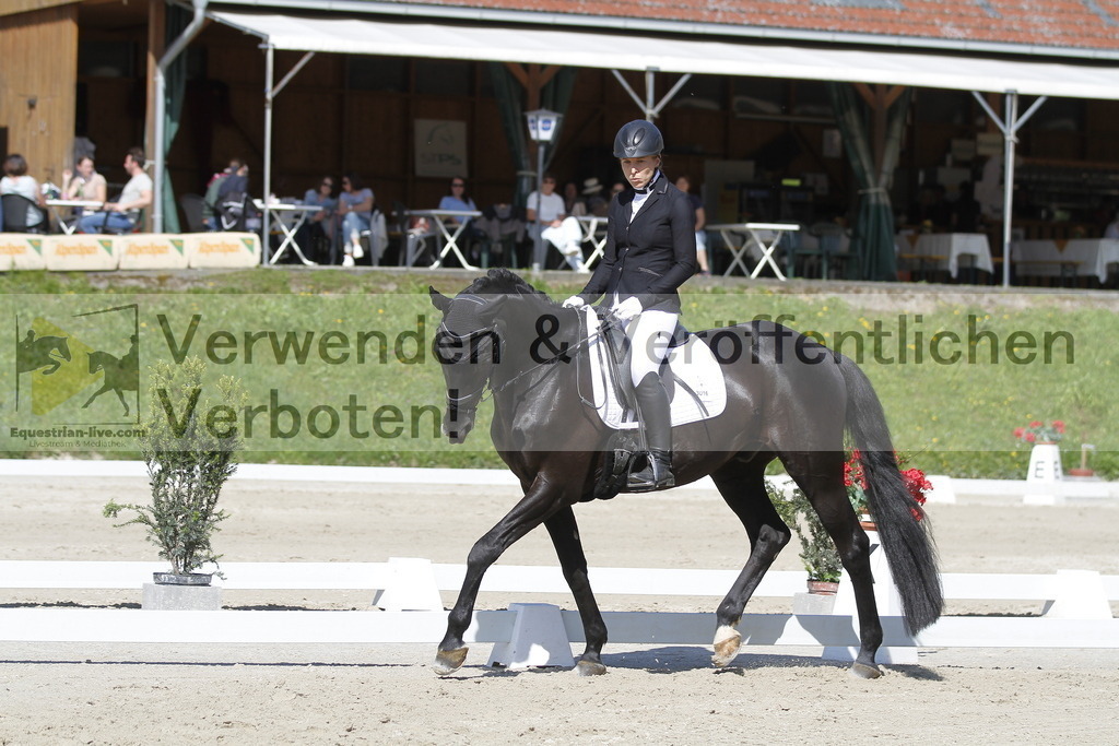_MG_6739 | equestrian-live-com