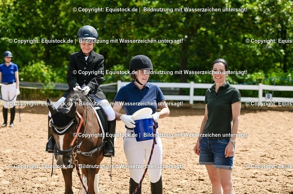 20230716_11_Führzügel-WB_0110 | equistock