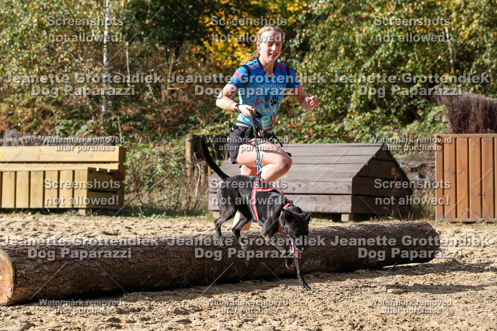 Dog Paparazzi - Strongdog 10-25-5405 | Dog Paparazzi Jeanette Grottendiek Fotografie & Videografie - Realisiert mit Pictrs.com