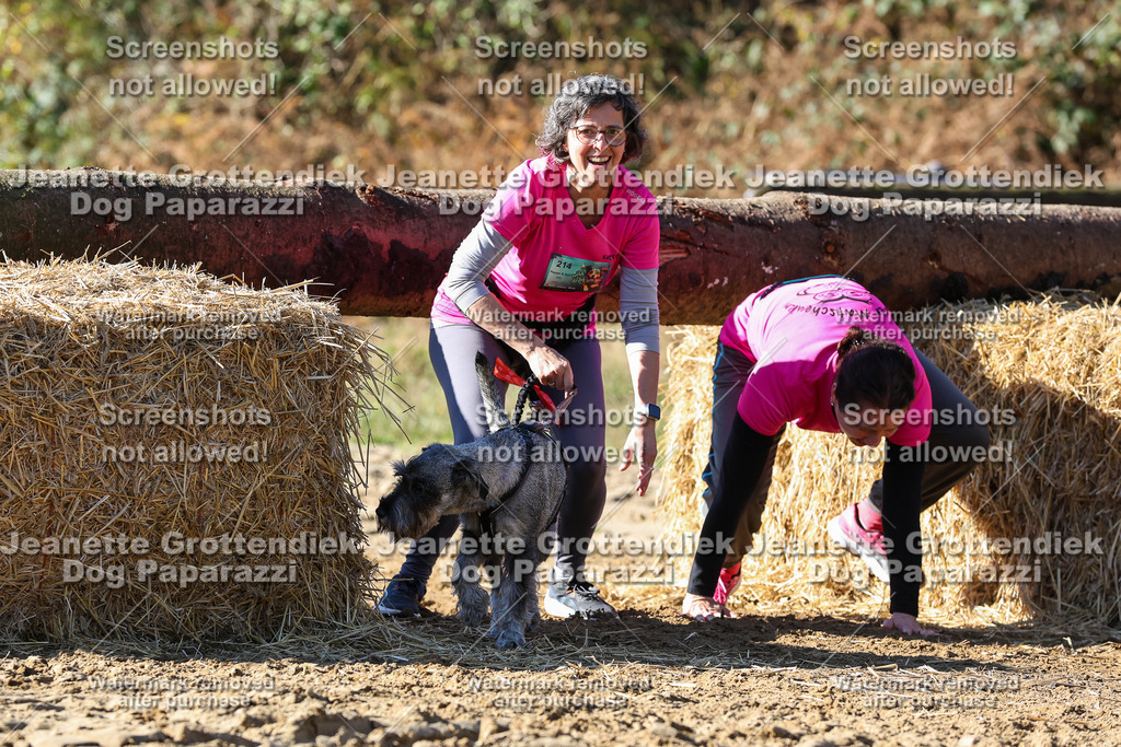 Dog Paparazzi - Strongdog 10-25-2864 | Dog Paparazzi Jeanette Grottendiek Fotografie & Videografie - Realisiert mit Pictrs.com