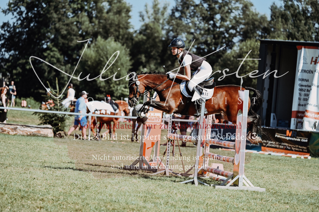 DSC_6829 | Pferde- und Turnierfotografie in Westsachsen. Pferdeportraits, Auftragszeichnungen und intuitive Kunst.