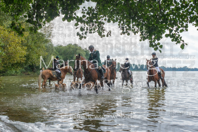 Jagd Perdoel_MarinaHewigDSCF3522 | Fotografie, FotoArt, PferdesportArt, Pferdesportfotografie, Landschaftsfotografie, Reisefotografie, Reise, Pferde - Realisiert mit Pictrs.com