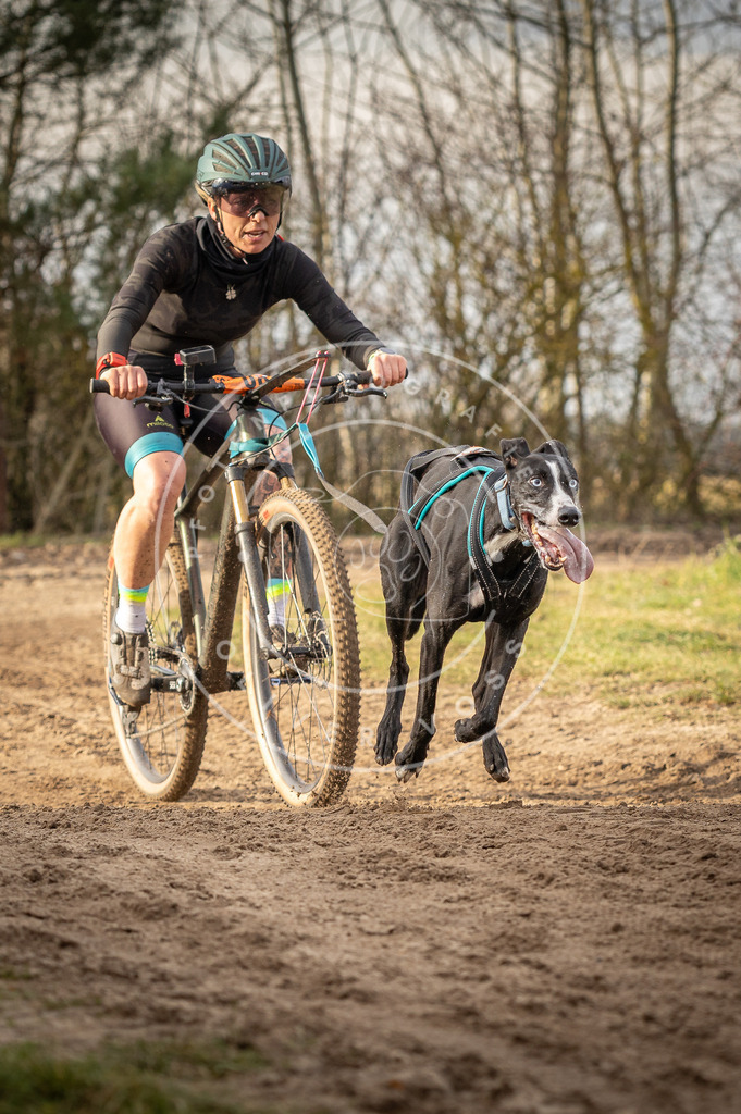 Pfotenfotografie_DV3A7344 | Hundefotografie, Tierfotograf, Pfotenfotografie, Fotoshooting Hund, Hunde Portrait, Hundesport, Hundeportraits, Heideshooting, Hunde, Sportfotograf, Hundefotograf, Turnierhundsport, THS,  - Realisiert mit Pictrs.com