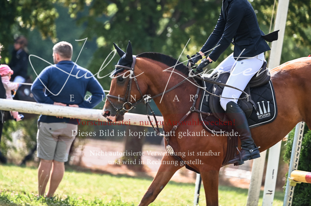 DSC_7907 | Pferde- und Turnierfotografie in Westsachsen. Pferdeportraits, Auftragszeichnungen und intuitive Kunst.