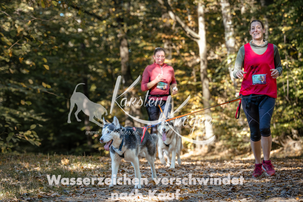 1202_ZZ93993 | kk-dogfotos