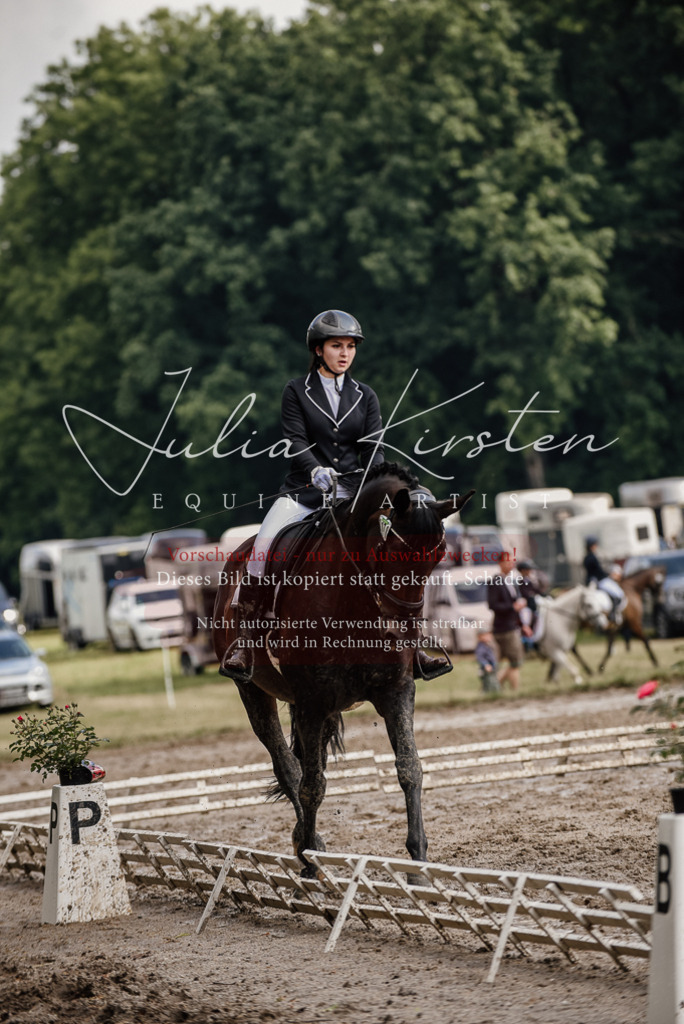 DSC_8667 | Pferde- und Turnierfotografie in Westsachsen. Pferdeportraits, Auftragszeichnungen und intuitive Kunst.