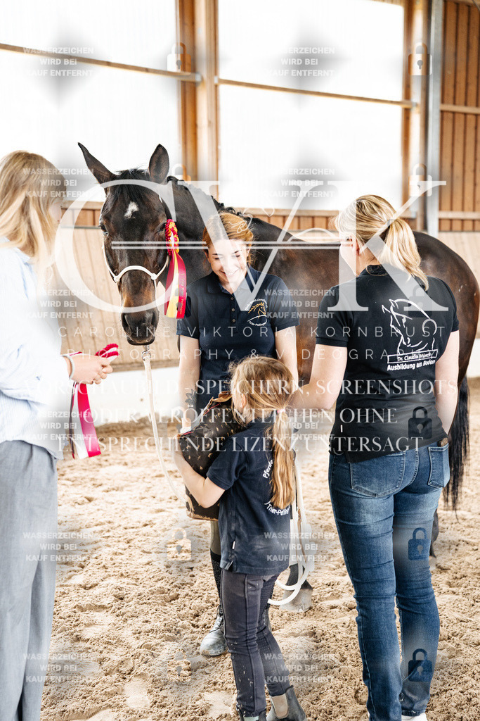 CK703270 | Turnierfotografie Pferdefotografie Trier Rheinland-Pfalz Pferdesport Reitsport Tierfotografie Sportfotografie Pferdevideo Pferdevideografie Equestrianvideography equestrianphotography  - Realized with Pictrs.com