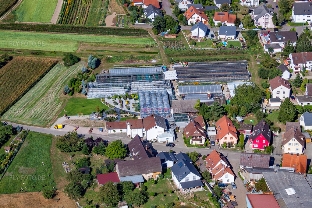 Luftbild: 1A Garten Hopp im Ortsteil Bodersweier in Kehl im Bundesland Baden-Württemberg in Deutschland. Foto: IMG_20613.jpg vom 31.08.2009 durch Werner Riehm/FLY-FOTO.de1A Garten Hopp - Ihr Gartencenter aus Kehl-Bodersweier