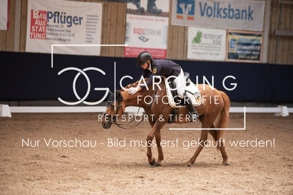 DSC_3425 | Carolin Gieschke