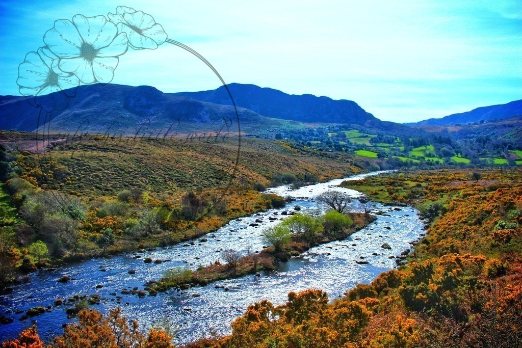 IMG_3913-01 | only.this.little.world - Realisiert mit Pictrs.com