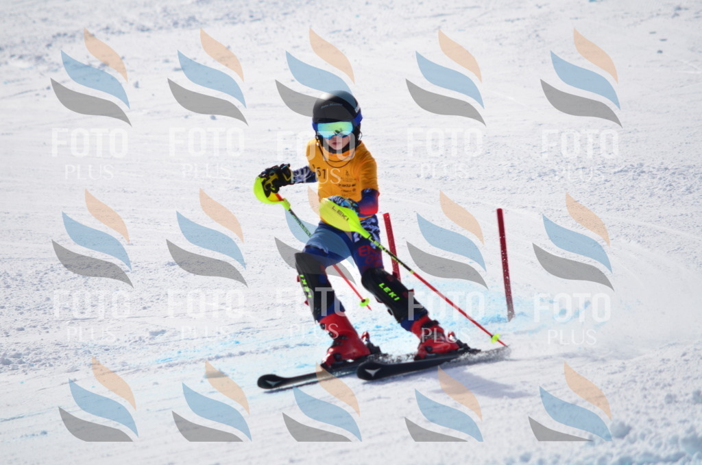 C9851 | holidayphoto