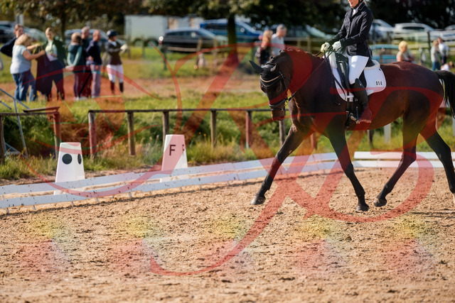 2026_10_03_Siefer-Hof_133641_Z63_97573959 | Professionelle Reitsport-, Turnier- und Eventfotografie von Robert Broda. Galerien mit ausgewählten und bearbeiteten Bildern direkt online ansehen und bestellen.