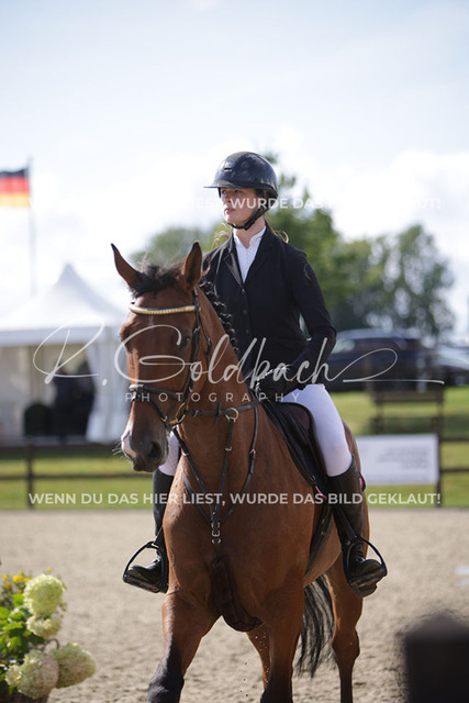 1J2A6629Kari Nansen_ Picante Helas_ Kn1051_ Havekost | Foto- und Videografie für alles rund ums Pferd. Hochwertige Bilder und Videos vom Spring- und Dressurreiten, Voltigieren & mehr. Jetzt aktuelle Veranstaltungen und Preise im Shop ansehen. - Realisiert mit Pictrs.com