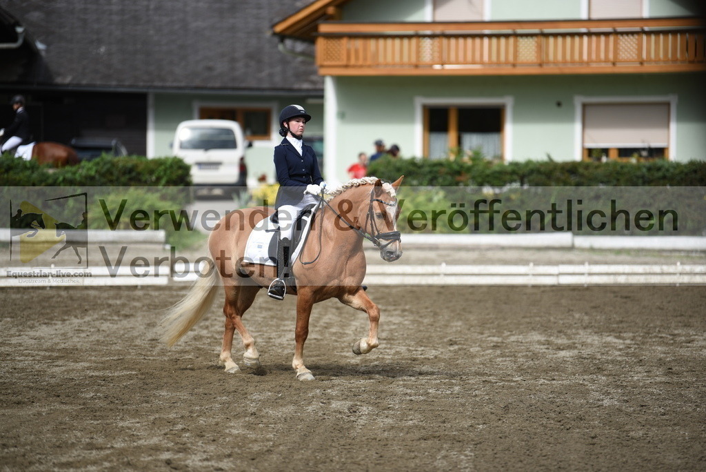 DSC_4980 | equestrian-live-com