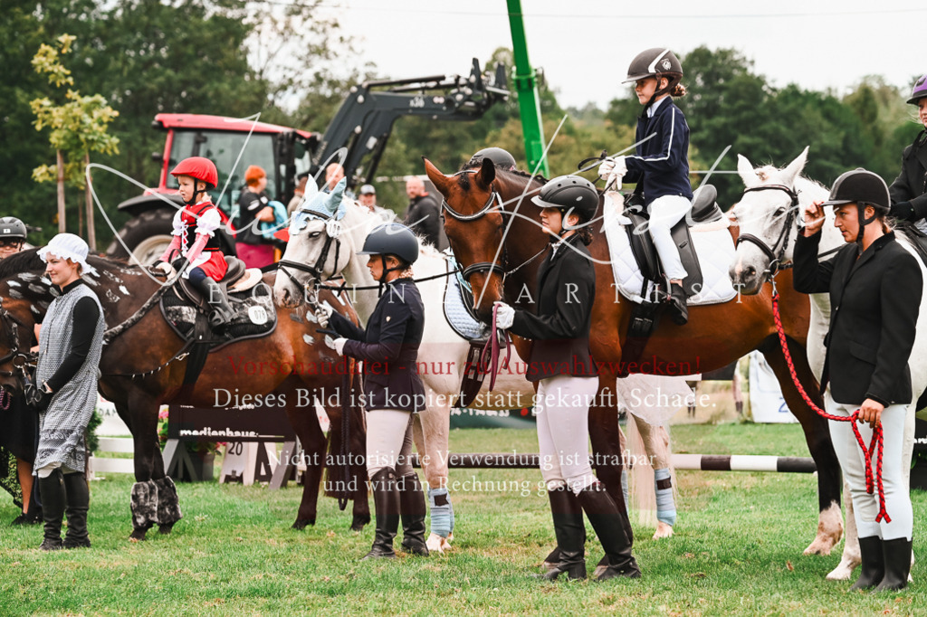 DSC_7447 | Pferde- und Turnierfotografie in Westsachsen. Pferdeportraits, Auftragszeichnungen und intuitive Kunst.