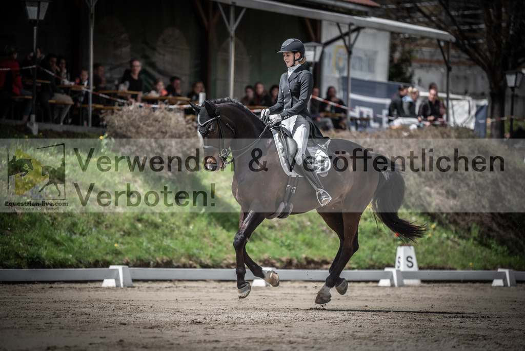 DSC_2336 | equestrian-live-com