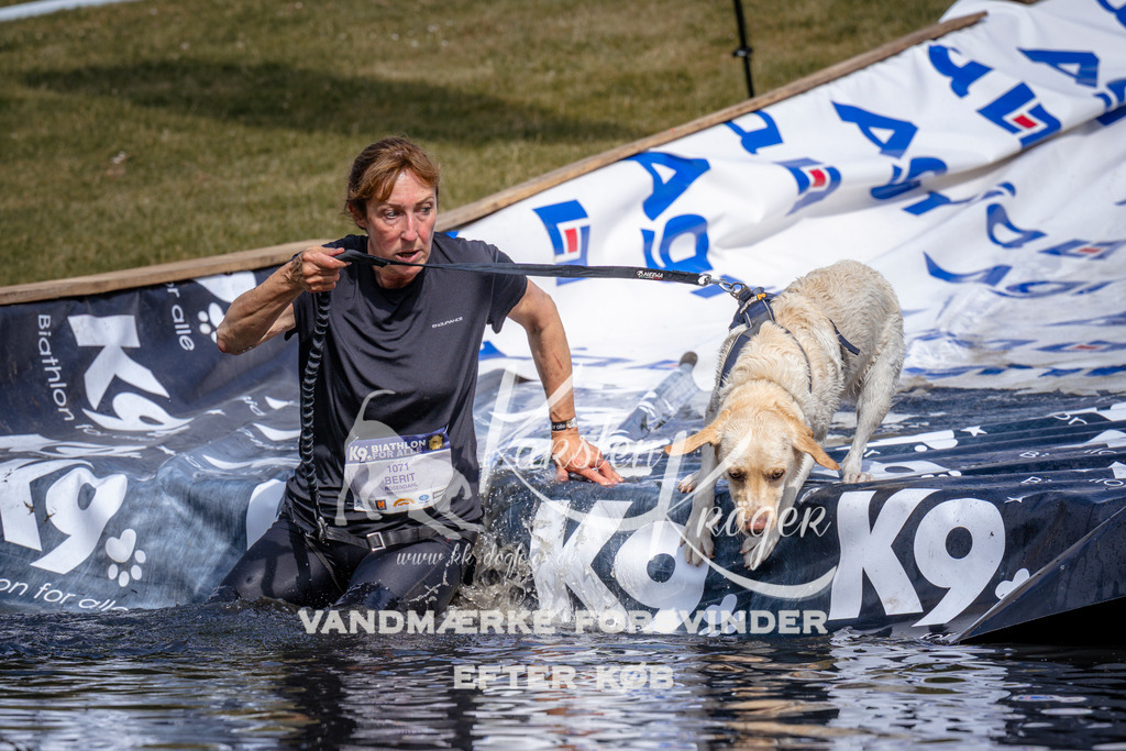 _ZZ906020903 | kk-dogfotos