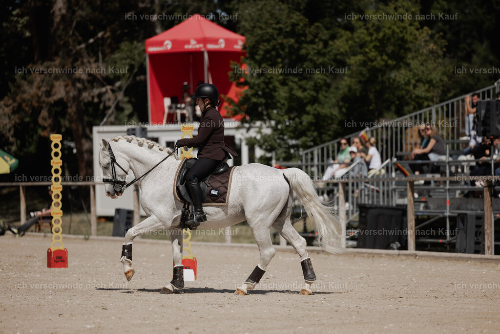 _AM27751 | working equitationturnier fotograf videograf stoibphotography marixx film working equitation deutschland reitsport turnierfotografie eventfotografie equestrian events