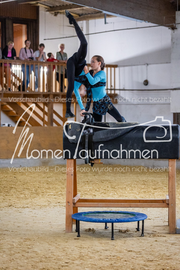Holzpferd-049 | MomenTaufnahmen Pferdesportfotos