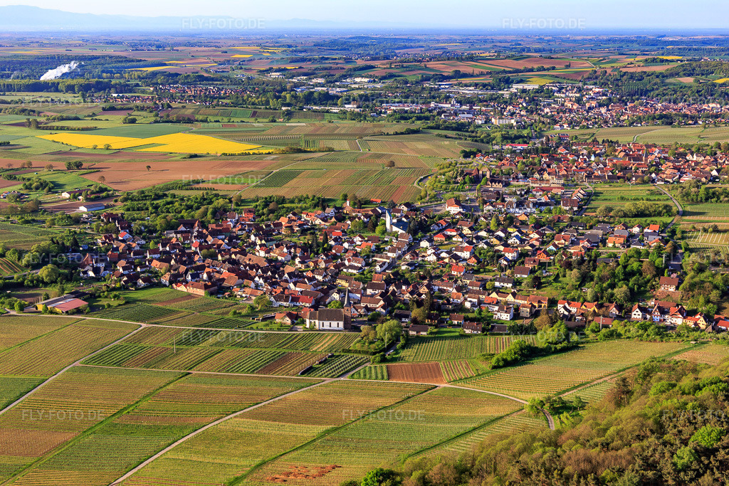 Luftbild: Winzerdorf im Frühling von Norden im Ortsteil Rechtenbach in Schweigen-Rechtenbach im Bundesland Rheinland-Pfalz in Deutschland. Foto: IMG_107000.jpg vom 27.04.2018 durch Werner Riehm/FLY-FOTO.de