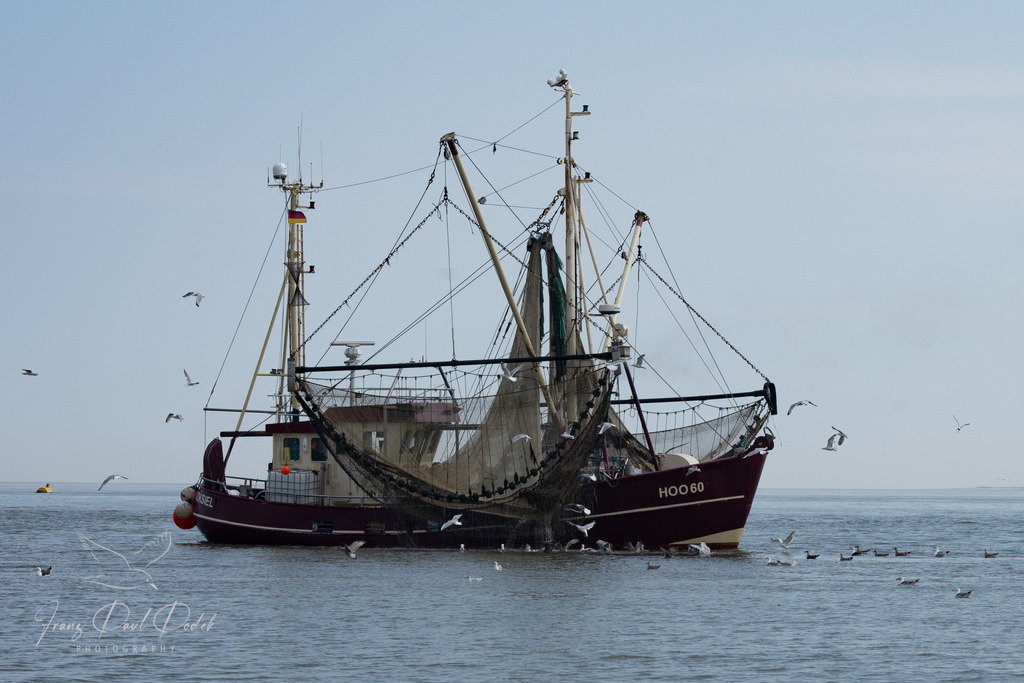 B776E969-DC72-4F64-BC62-F59F5FECC664 | Franz Podek