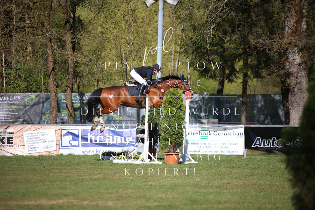 IMGT0387 | pl-fotografie