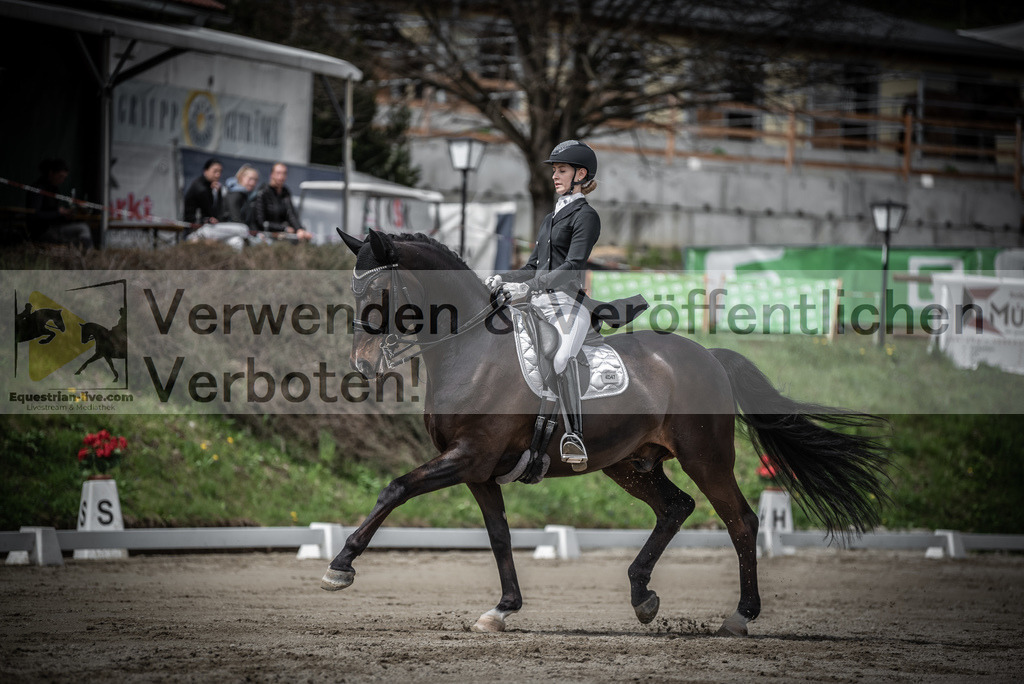 DSC_2263 | equestrian-live-com