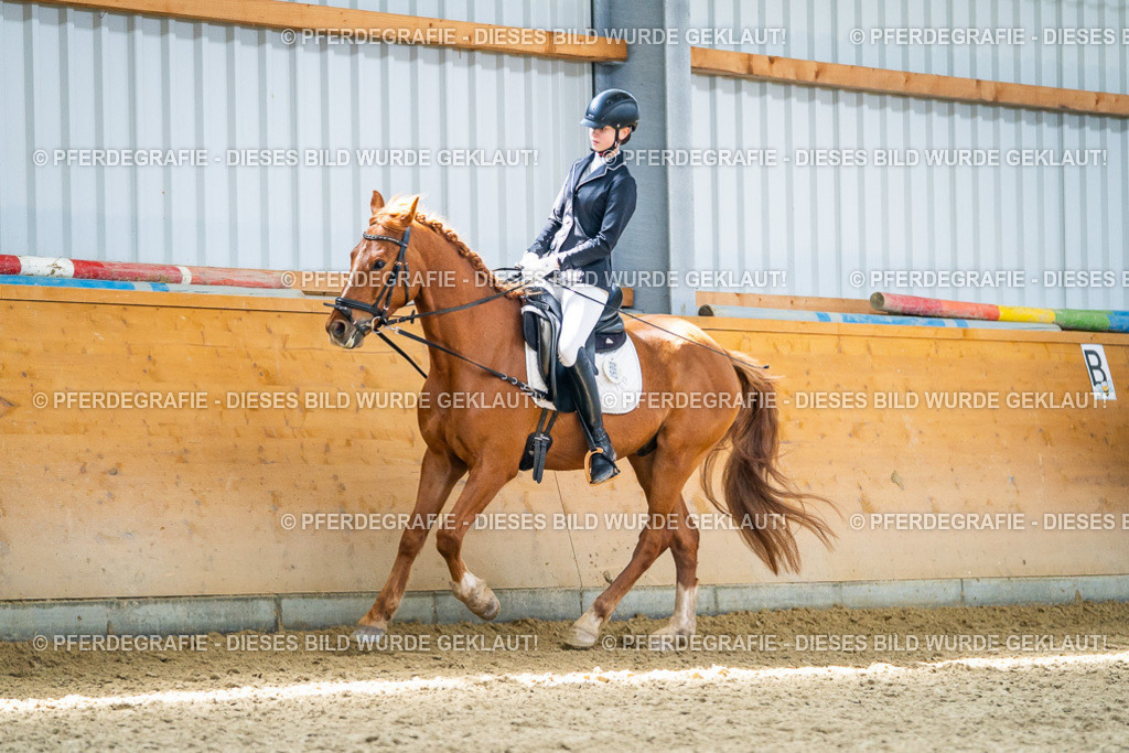 DSC03310 | Pferdegrafie