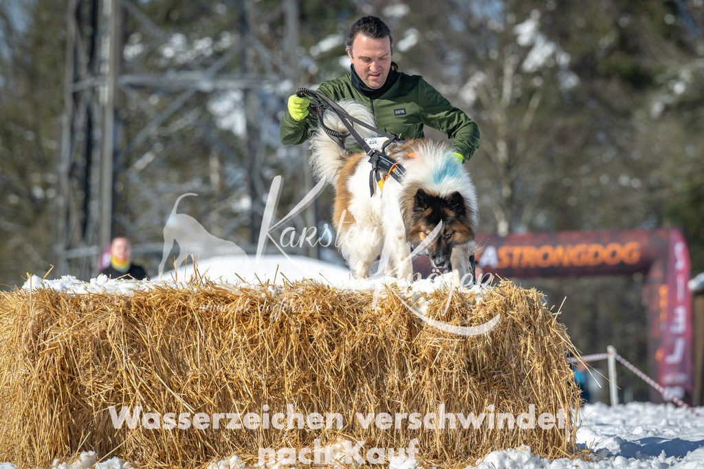 1102_ZZ94369-2 | kk-dogfotos