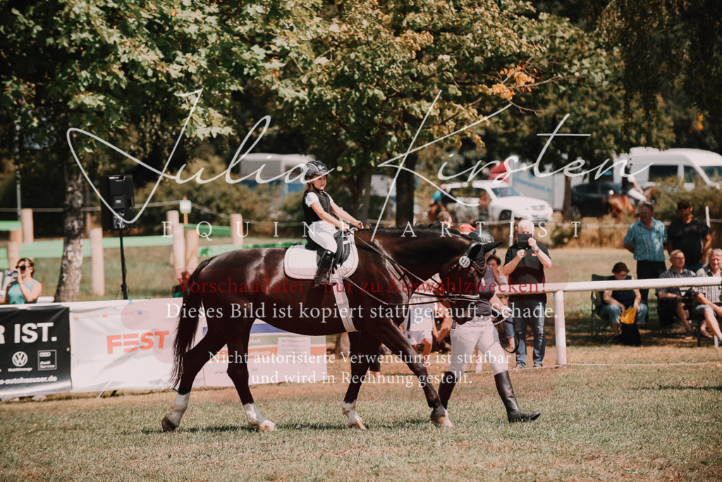 DSC_6234 | Pferde- und Turnierfotografie in Westsachsen. Pferdeportraits, Auftragszeichnungen und intuitive Kunst.