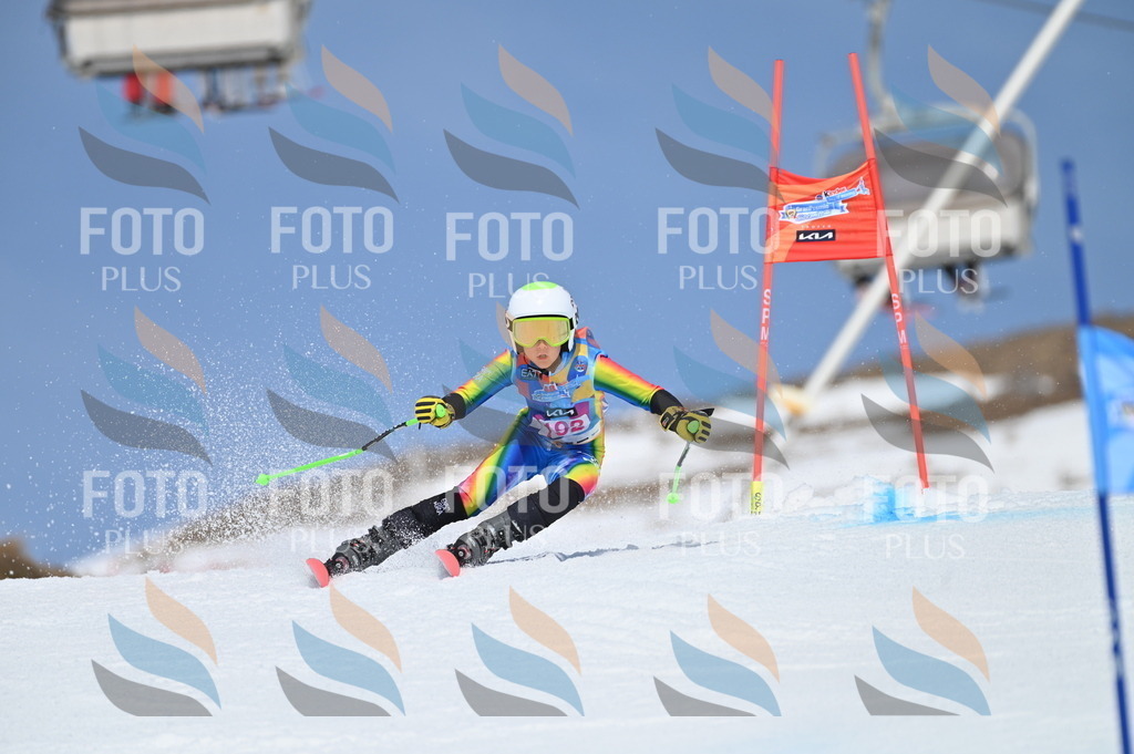 BGV_0833 | holidayphoto