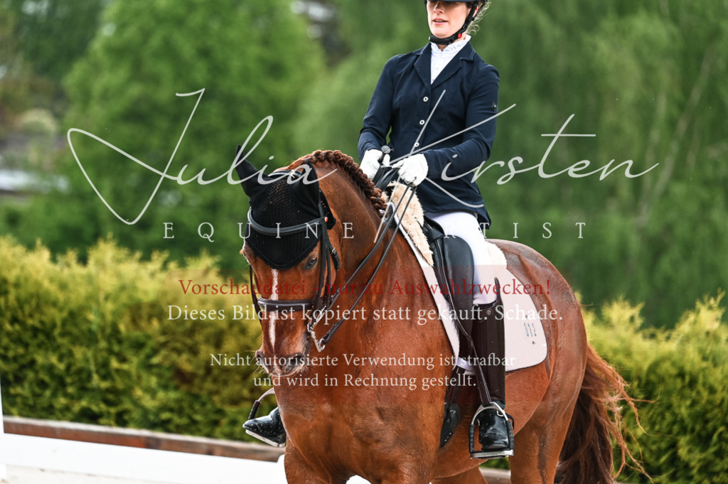 DSC_4240 | Pferde- und Turnierfotografie in Westsachsen. Pferdeportraits, Auftragszeichnungen und intuitive Kunst.