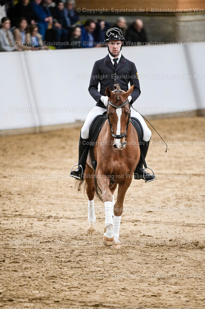 20260307_Hengstvorstellung-Marbach_0223 | equistock