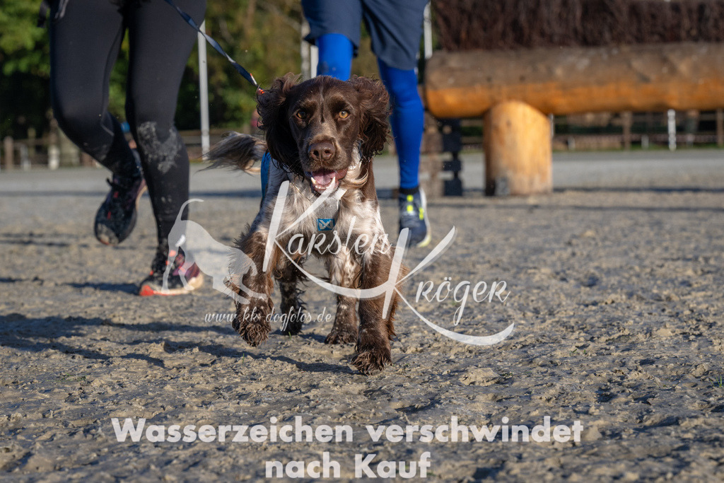 0931-93885 | kk-dogfotos