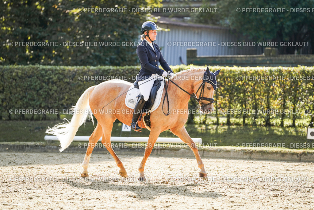 DSC05778 | Pferdegrafie