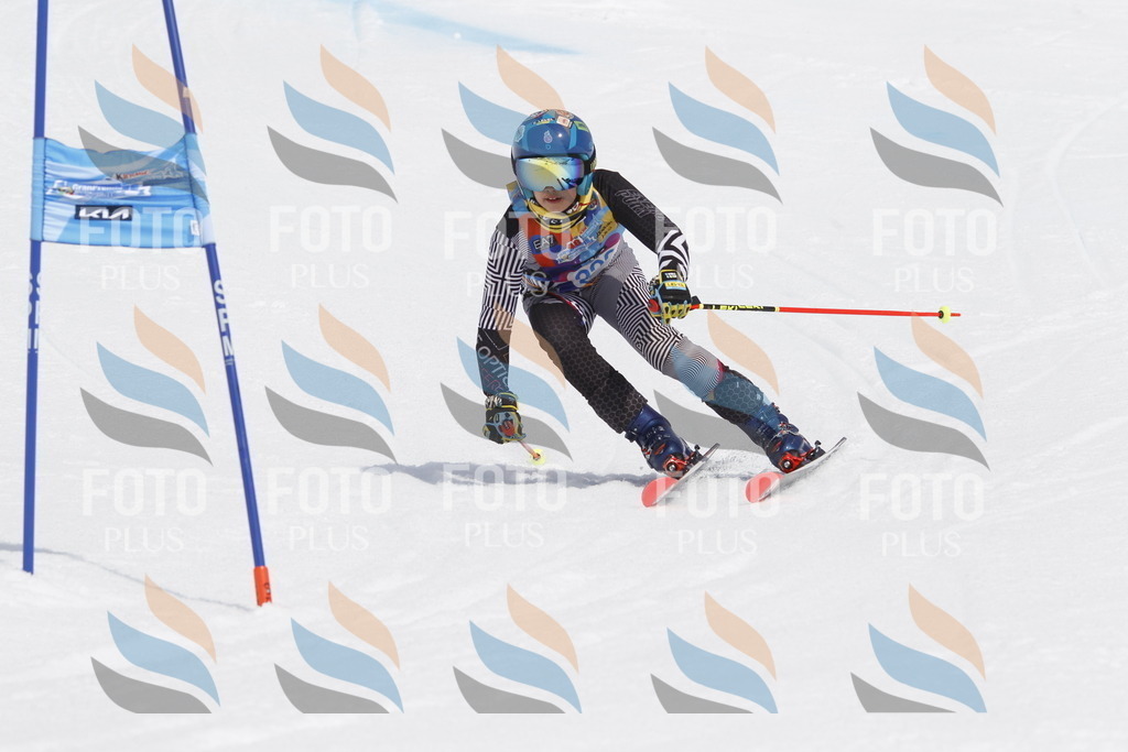 _U3G2410 | holidayphoto