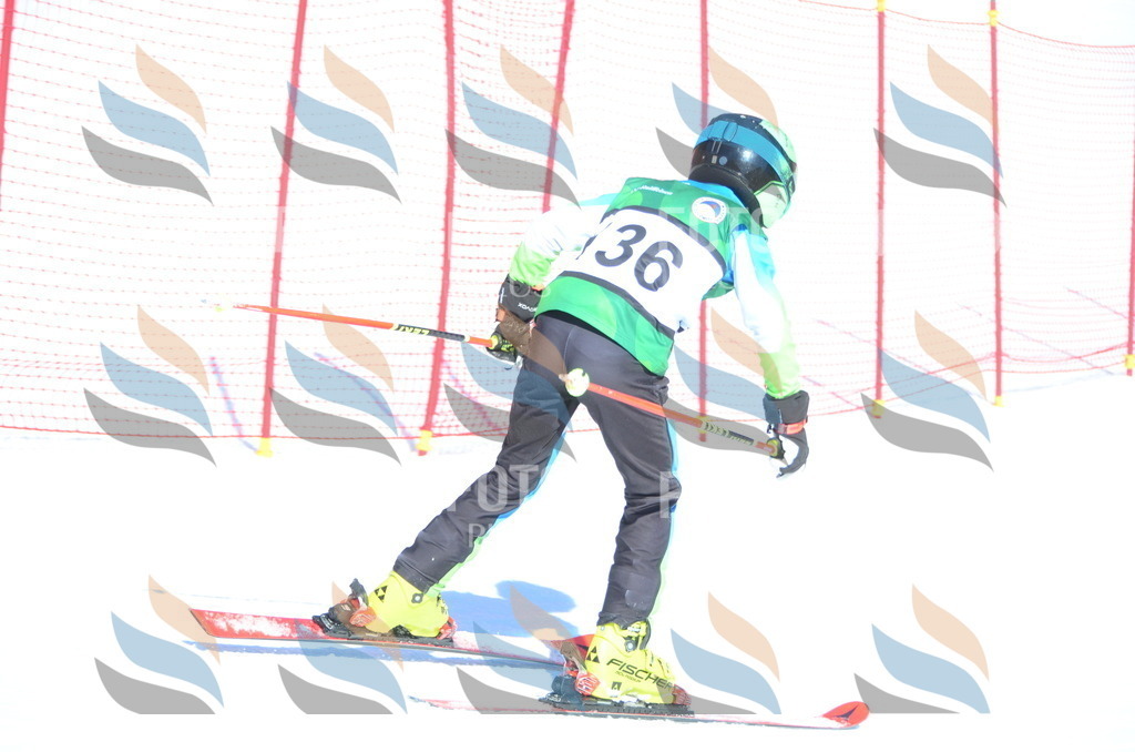 C6007 | holidayphoto