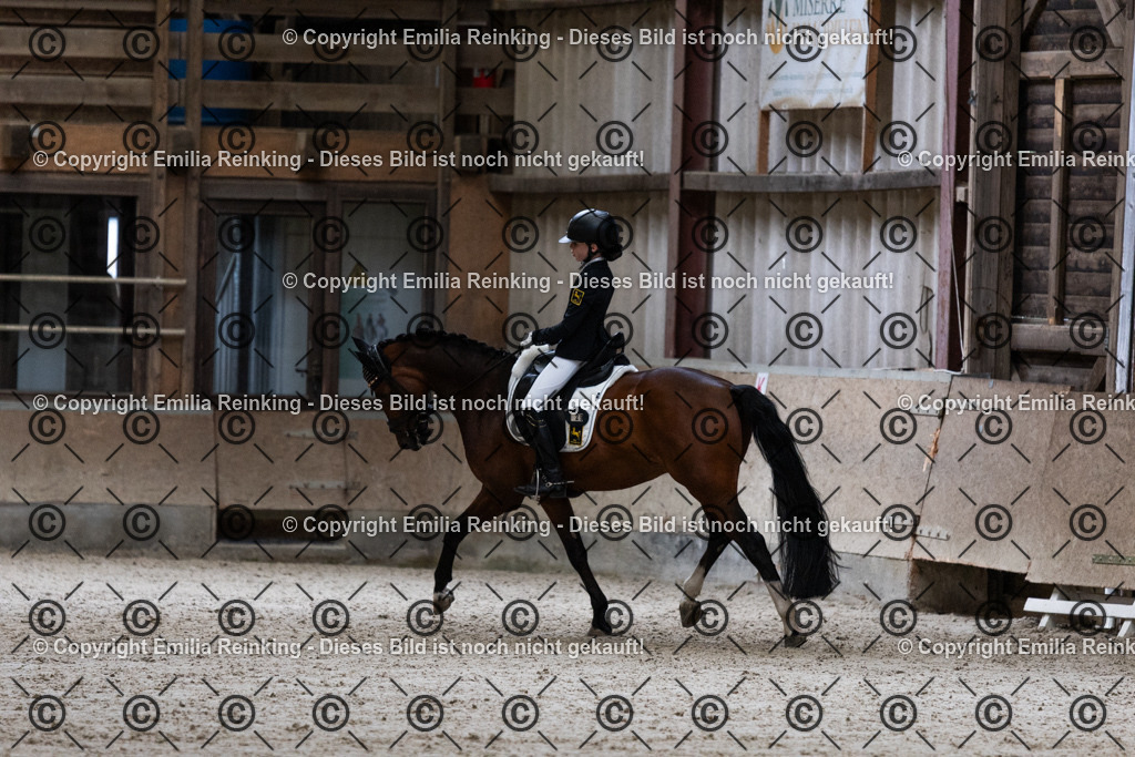 CL5A5064 | Emilia Reinking Fotografie - Realisiert mit Pictrs.com