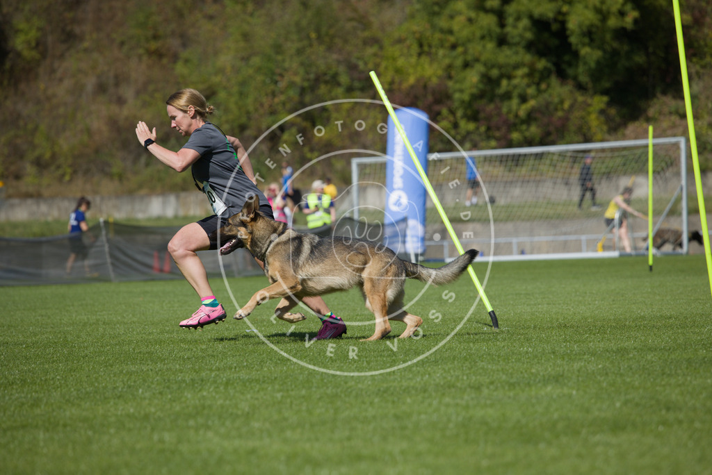 0L8A5960 | Hundefotografie, Tierfotograf, Pfotenfotografie, Fotoshooting Hund, Hunde Portrait, Hundesport, Hundeportraits, Heideshooting, Hunde, Sportfotograf, Hundefotograf, Turnierhundsport, THS,  - Realisiert mit Pictrs.com