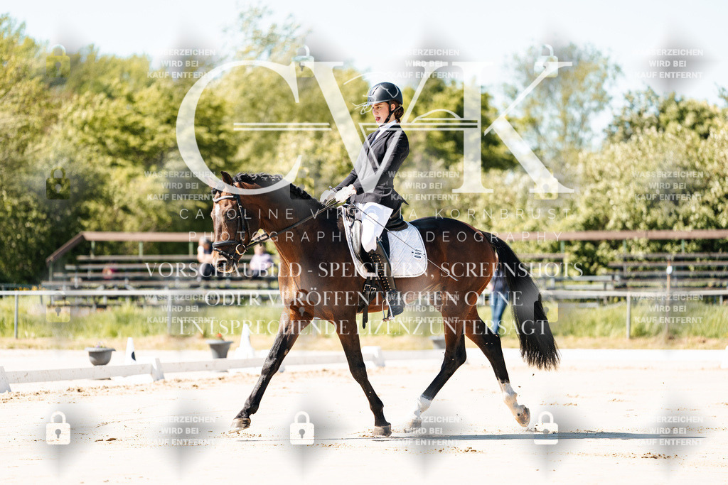 CK904910 | Turnierfotografie Pferdefotografie Trier Rheinland-Pfalz Pferdesport Reitsport Tierfotografie Sportfotografie Pferdevideo Pferdevideografie Equestrianvideography equestrianphotography  - Realisiert mit Pictrs.com