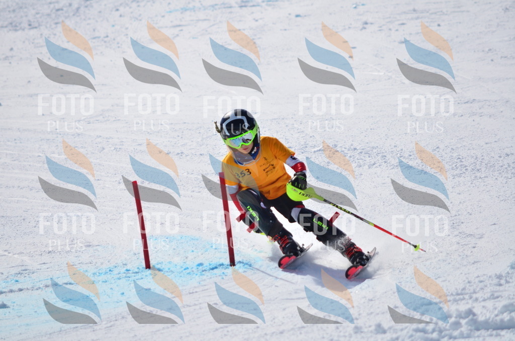 C9798 | holidayphoto