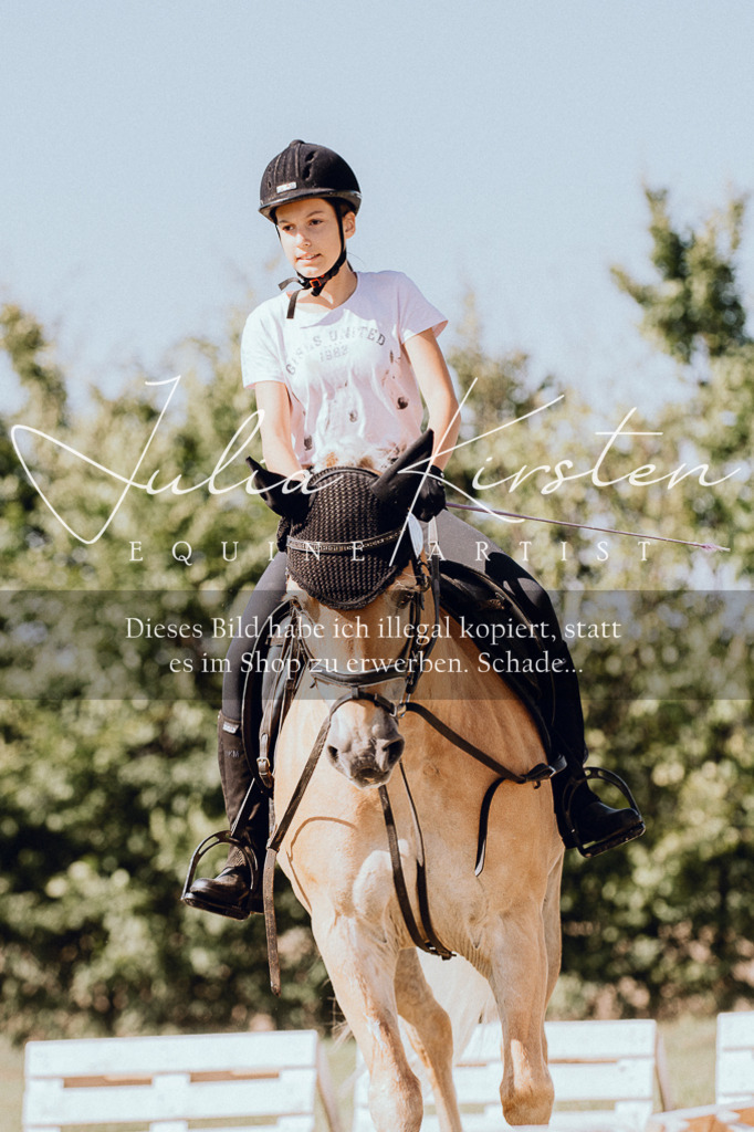 DSC_7216 | Pferde- und Turnierfotografie in Westsachsen. Pferdeportraits, Auftragszeichnungen und intuitive Kunst.