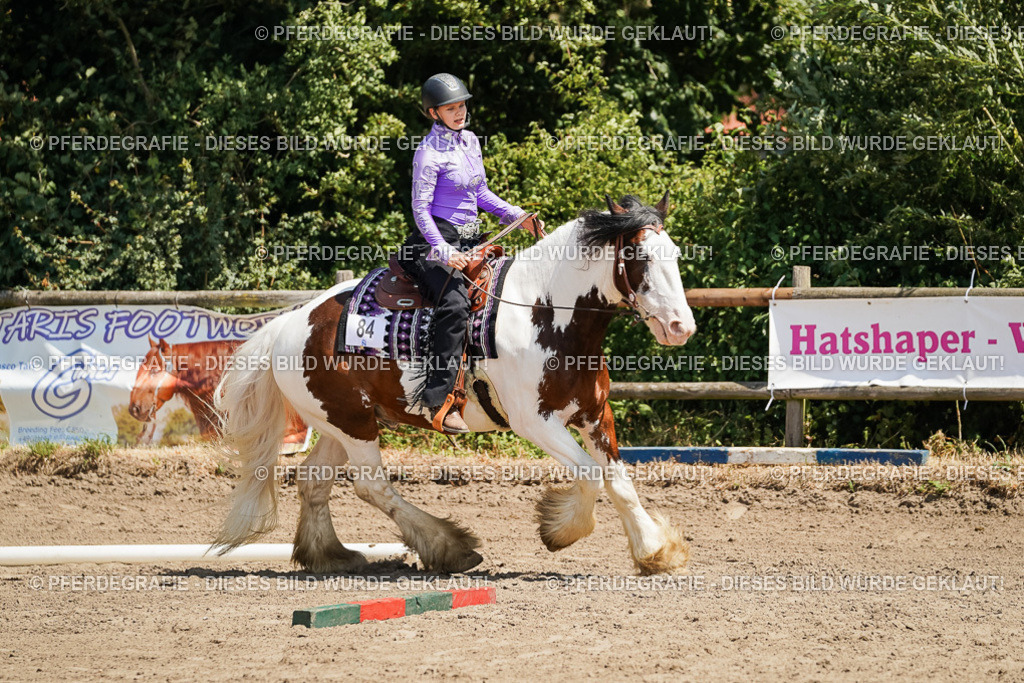 DSC07489 | Pferdegrafie