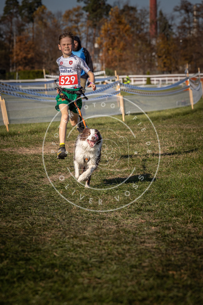 CaniXpix_0L8A7328 | Hundefotografie, Tierfotograf, Pfotenfotografie, Fotoshooting Hund, Hunde Portrait, Hundesport, Hundeportraits, Heideshooting, Hunde, Sportfotograf, Hundefotograf, Turnierhundsport, THS,  - Realisiert mit Pictrs.com