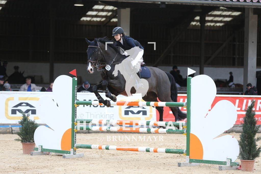 AS8V0025 | Willkommen bei Brunnmayr - Design & Fotografie – Ihrem Spezialisten für Reitturniere und Pferdeveranstaltungen in Oberösterreich, Salzburg und Bayern! Seit über 17 Jahren sind wir leidenschaftlich dabei.