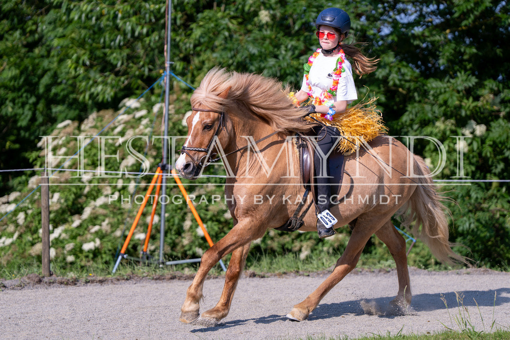 KAI07262 | Ihr sucht einen Fotografen für eure nächste OSI? Ich begleite auch euer Turnier für Islandpferde fotografisch.  - Realisiert mit Pictrs.com