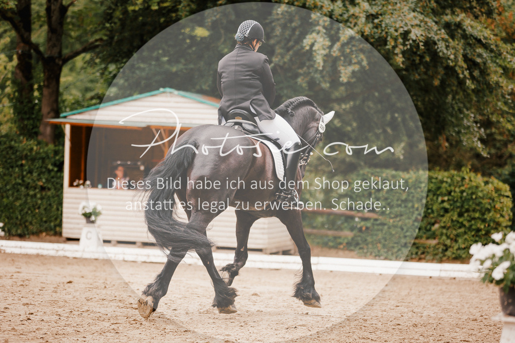 3I6A7750 | Stimmungsvolle Portraits und Reitsportfotografie im Ruhrgebiet und im Münsterland.

Pferdefotografie, Hundefotografie, Tierfotografie, Reportagen, Portraits von Tier und Mensch, Turnierfotografie in Bochum, Recklinghausen, Marl, Haltern am See, Dülmen.. - Realisiert mit Pictrs.com