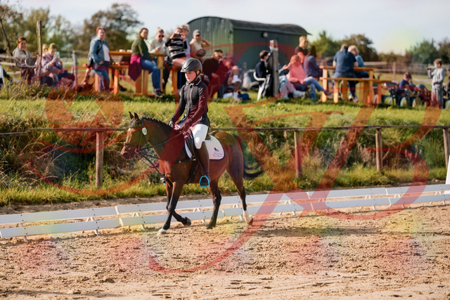 2026_10_03_Siefer-Hof_120827_Z63_37986054 | Professionelle Reitsport-, Turnier- und Eventfotografie von Robert Broda. Galerien mit ausgewählten und bearbeiteten Bildern direkt online ansehen und bestellen.