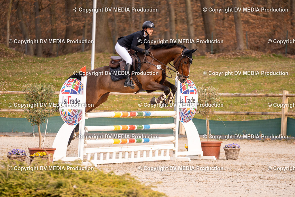 Kranichstein Tag 2-1384 | dv-media-shop - Realisiert mit Pictrs.com