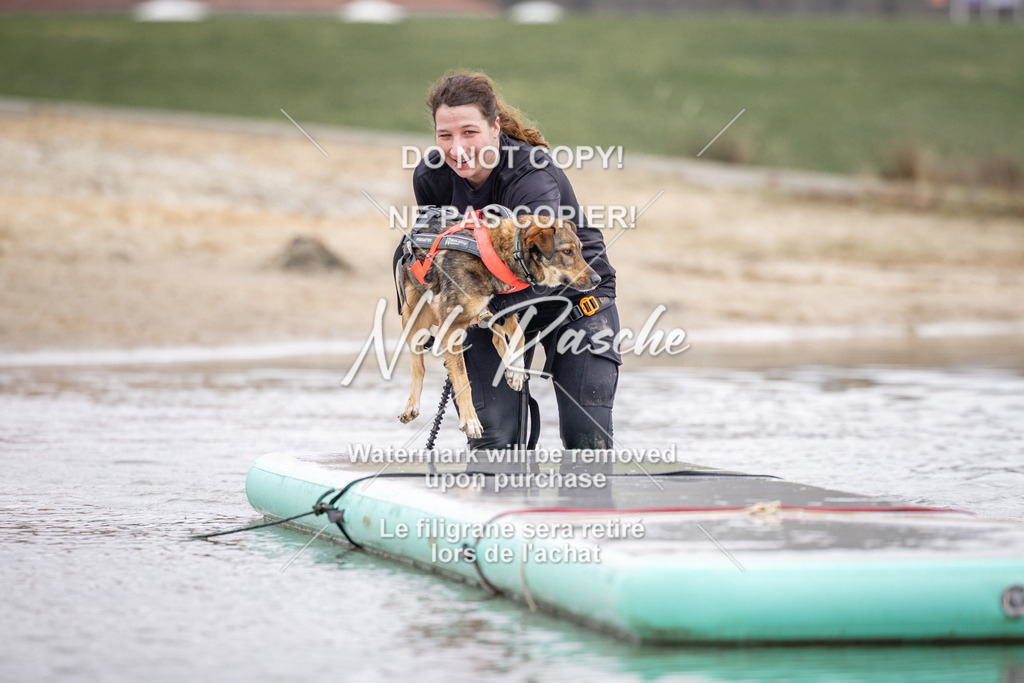 nelerasche_Hulsbeek_Sa1230-1330_179 | nelerasche